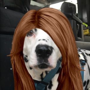 Meet your Posher, shamusmommy